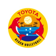 チームアイコン